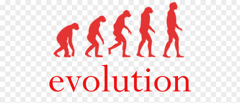 Charles Darwin Human Evolution Homo Sapiens Peking Man Evolutionary Art PNG