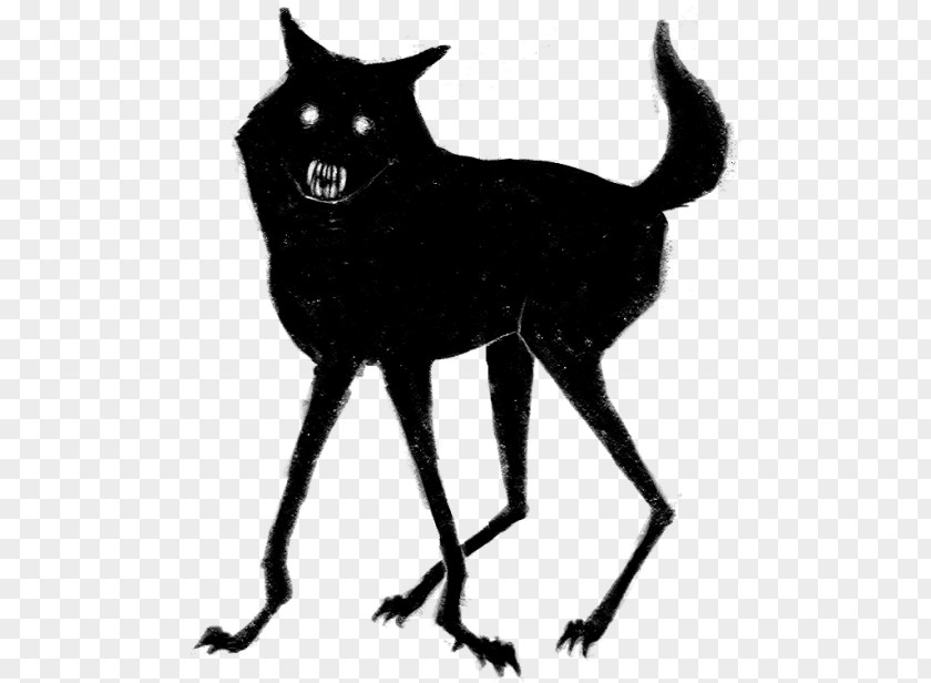 Dog Red Fox Whiskers Cat Black And White PNG