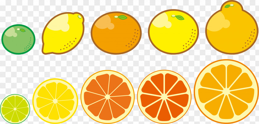 Lemon Satsuma Mandarin Fruit Food Orange PNG