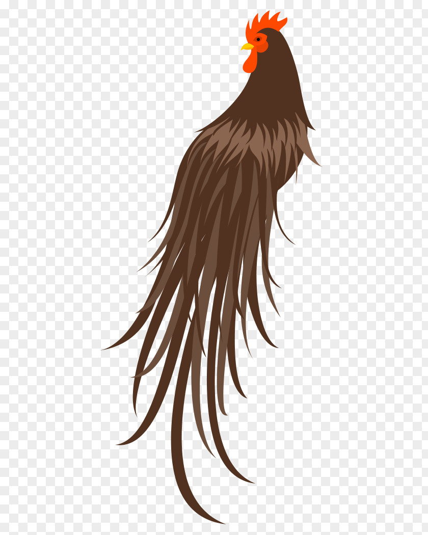 Chicken Rooster Bird Beak PNG