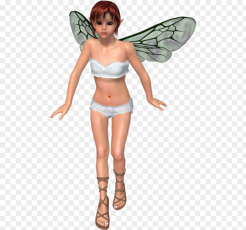 Fairy Costume PNG