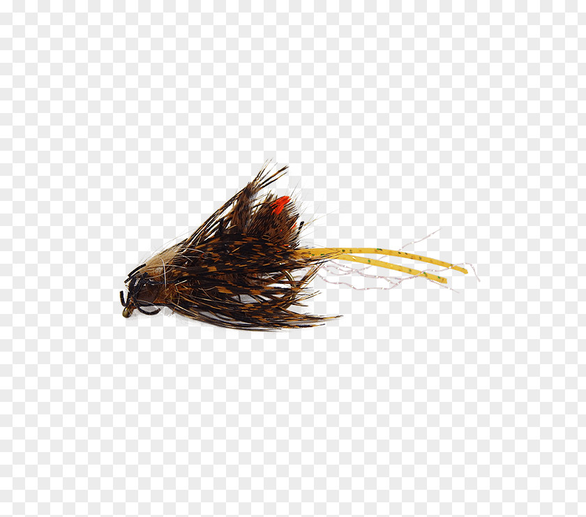 Fly Tying Holly Flies Blue Crayfish Louisiana Crawfish Artificial PNG