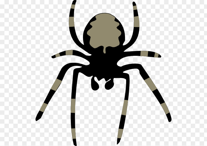 Funny Spider Cliparts Free Content Download Clip Art PNG