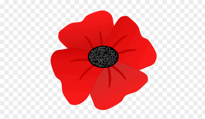 Remembrance Poppy Clip Art PNG