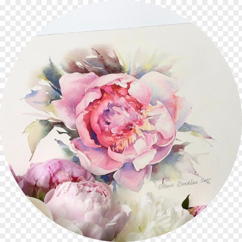 Watercolor Peony Painting Watercolour Flowers Artist PNG