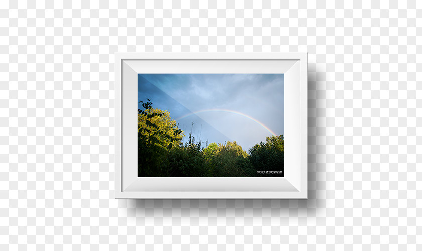 Window Picture Frames Display Device Stock Photography PNG