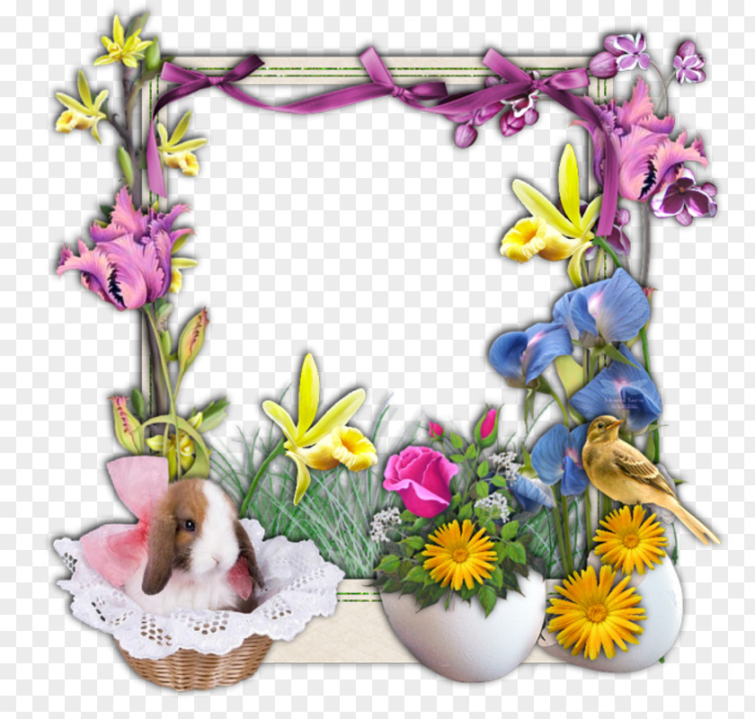Easter Bunny Colomba Di Pasqua Joyeuses Pâques ! Passover PNG