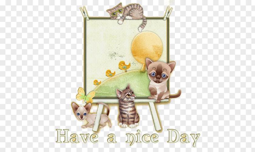 Good Morning Ladies Gentlemen Kitten Idgie Threadgoode Cat Abdominal Exercise Discover Card PNG