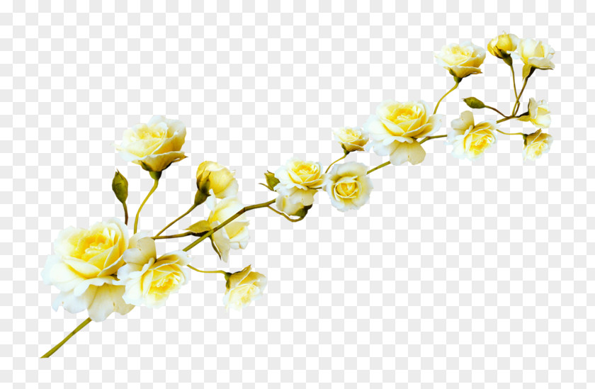 Parterre Flower Clip Art PNG