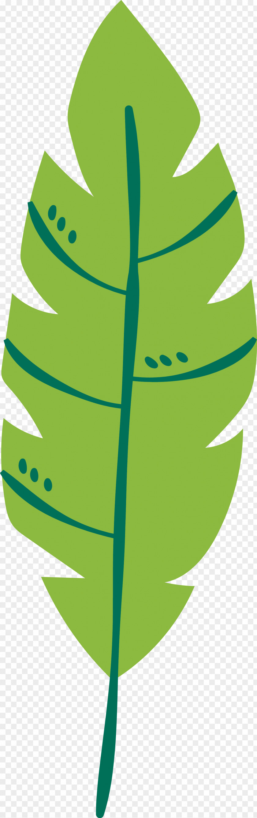 Plant Stem Leaf Green Fruit M-tree PNG