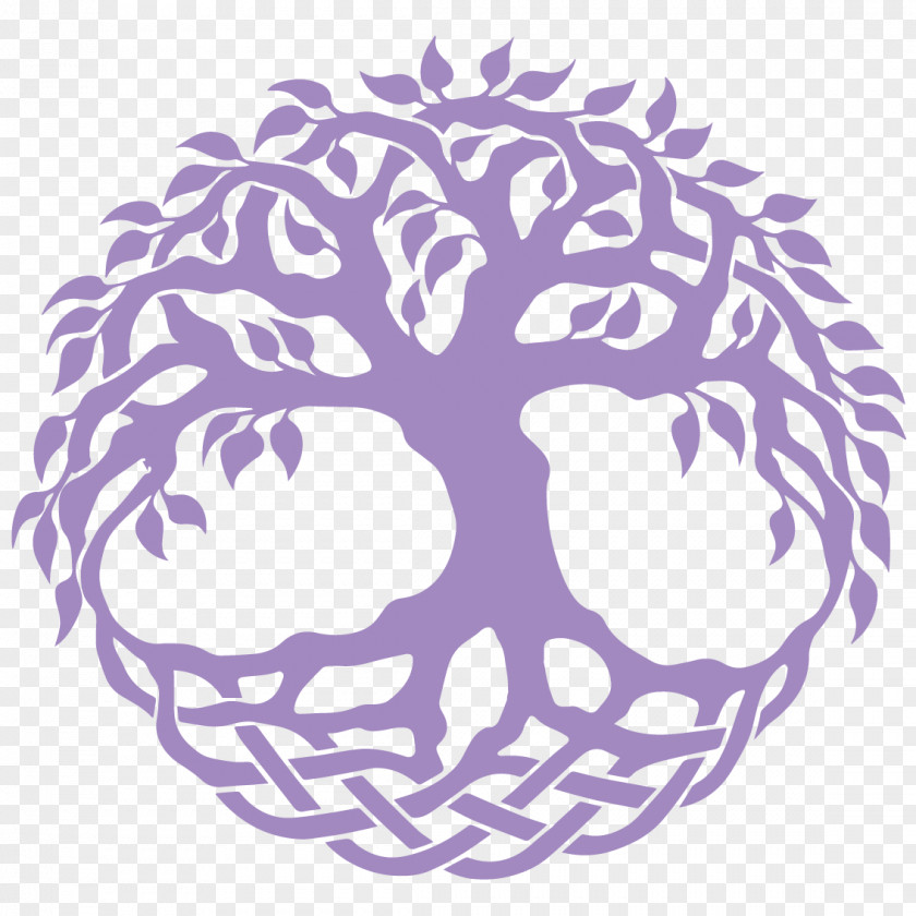 Tree Of Life Celtic Sacred Trees Knot Celts Clip Art PNG