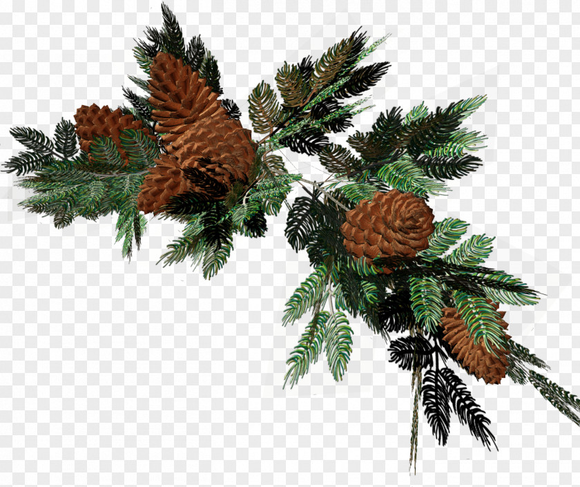 Wreath Fir Pine Ded Moroz Christmas Decoration PNG