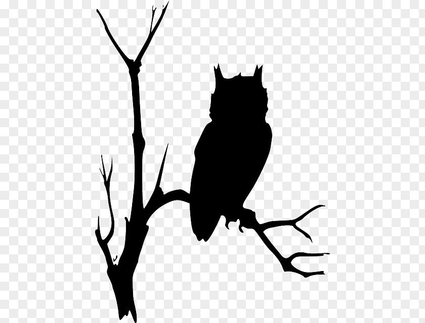 Braches Background Owl Clip Art Vector Graphics Branch Silhouette PNG