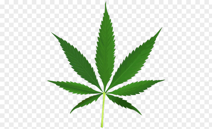 Cannabis Sativa Hemp PNG