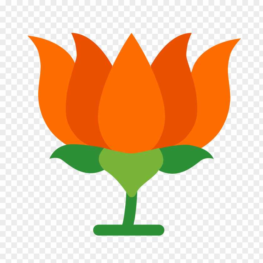 Webbed Bharatiya Janata Party India Desktop Wallpaper PNG