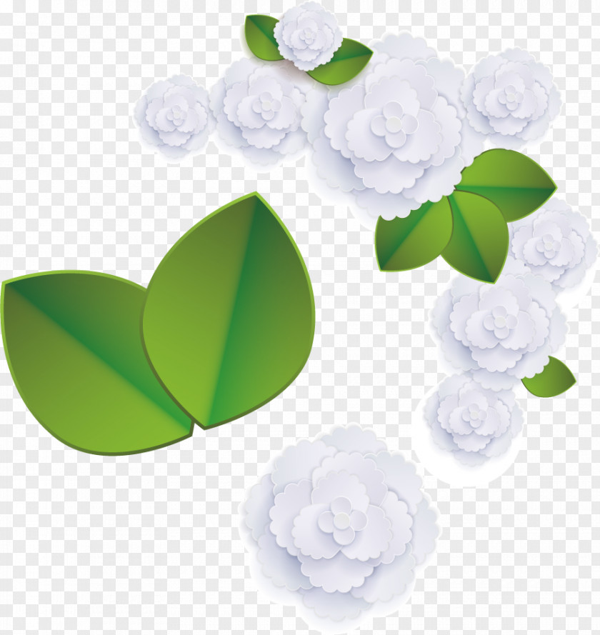 White Rose Vector Floral Design Image Adobe Photoshop PNG