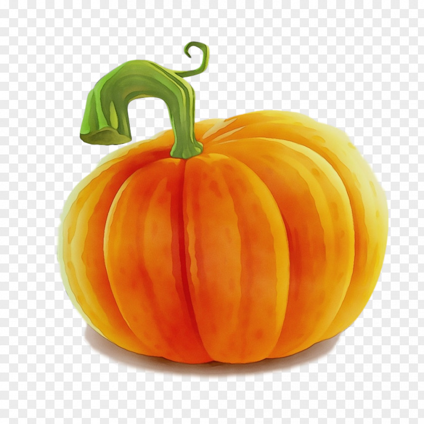 Yellow Fruit Pumpkin PNG