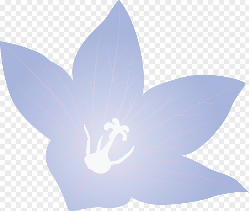 Balloon Flower PNG