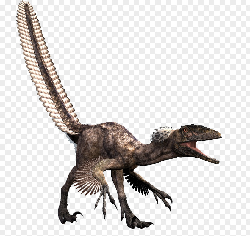 Dinosaurs Deinonychus Dromaeosaurus Tyrannosaurus Allosaurus Spinosaurus PNG