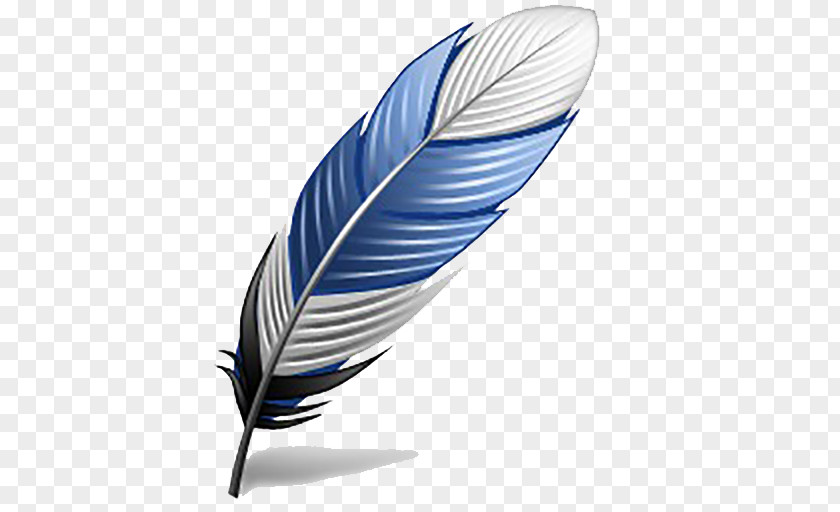 Feather Clip Art Computer File PNG
