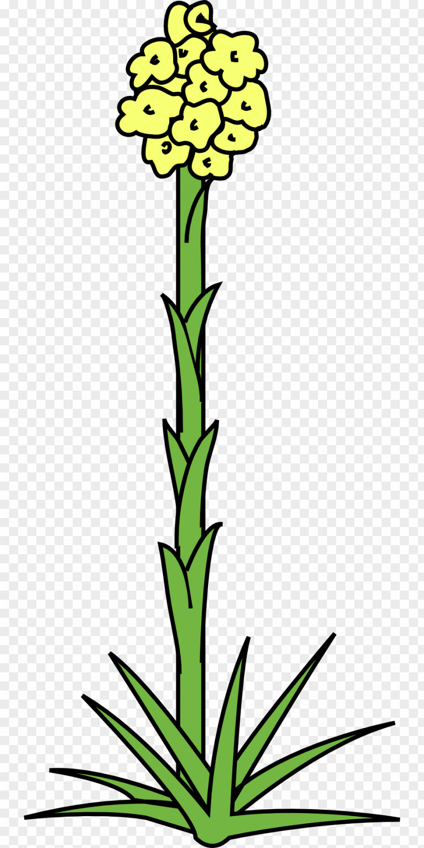 Flower Plant Clip Art PNG