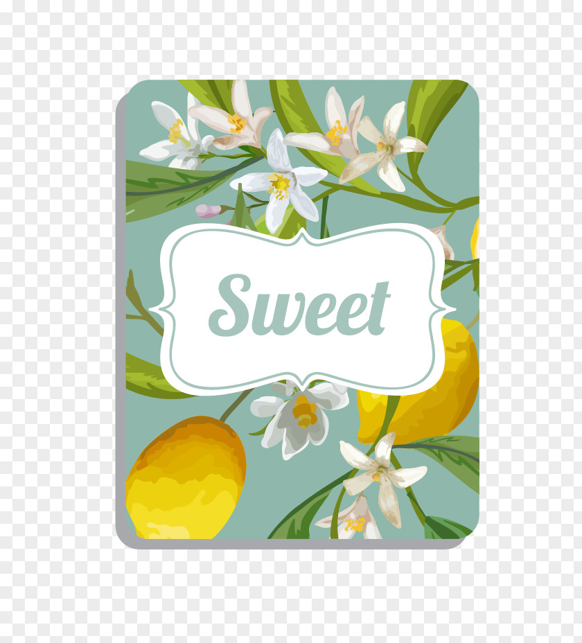 Fresh Lemon Background Illustration PNG