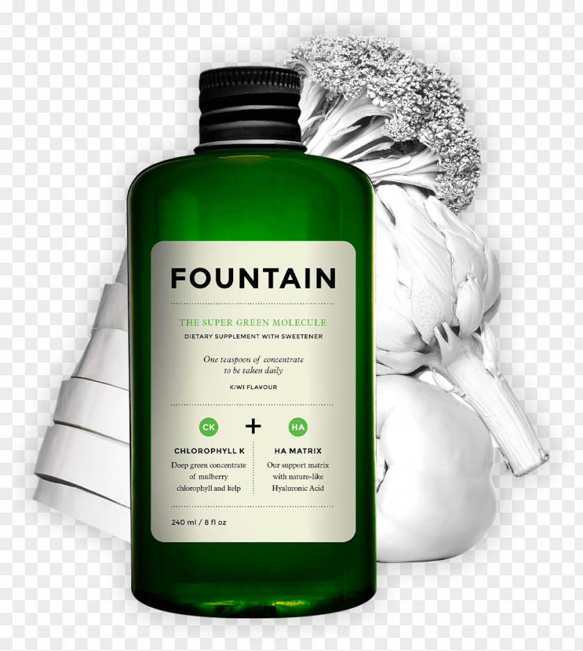Shampoo Splash Dietary Supplement Fountain Nutrient Water Food PNG