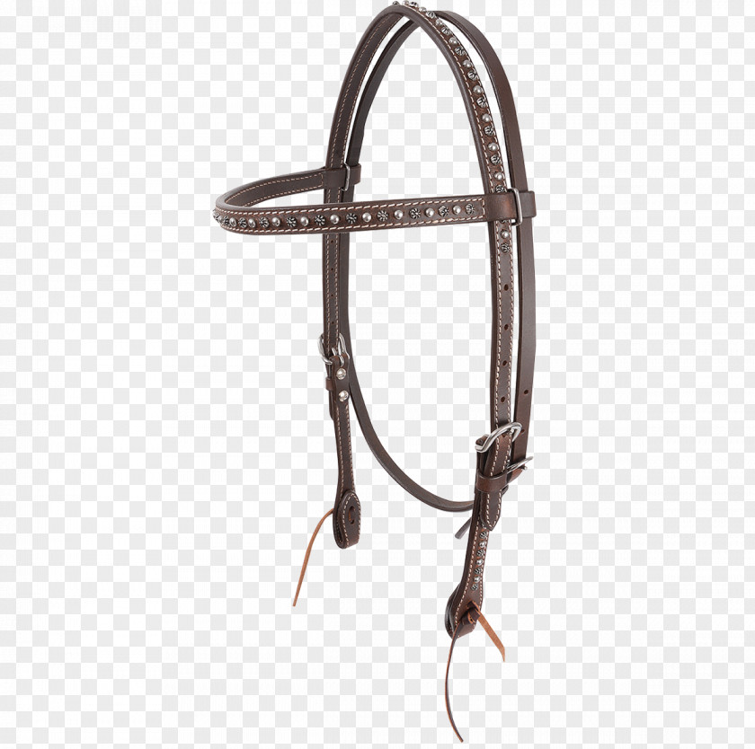 Trail Riding Bridle Horse Tack Bit Hackamore PNG