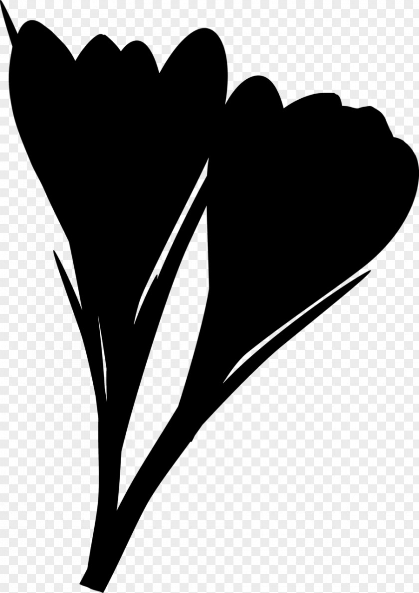 Clip Art Leaf Heart Flowering Plant Branching PNG