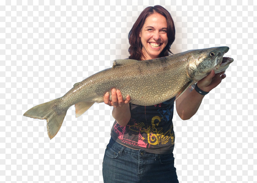 Fishing Lake Michigan Coho Salmon PNG