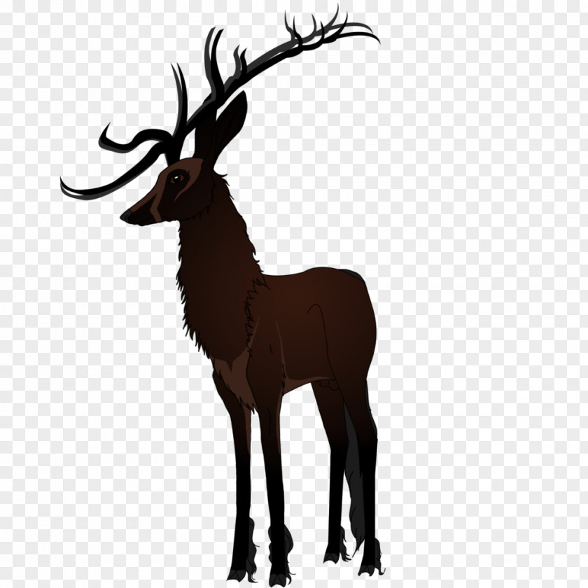 Goat Elk Antelope Reindeer Horn PNG