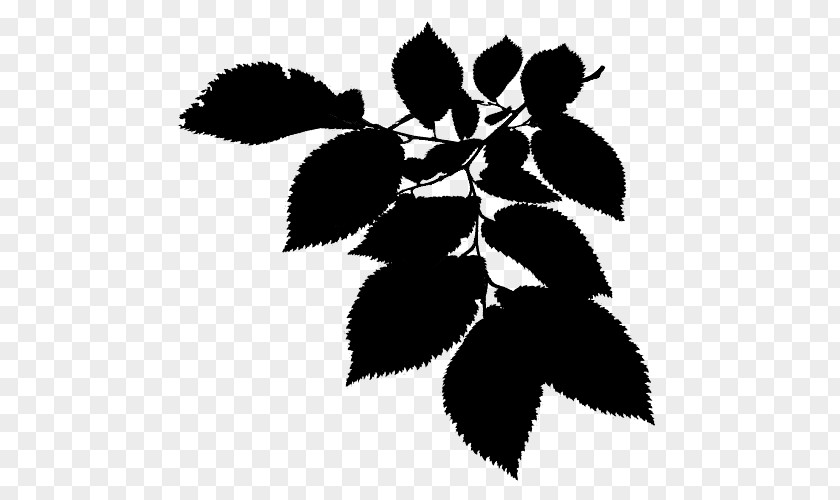 M Flower Plant Stem Leaf Twig Black & White PNG