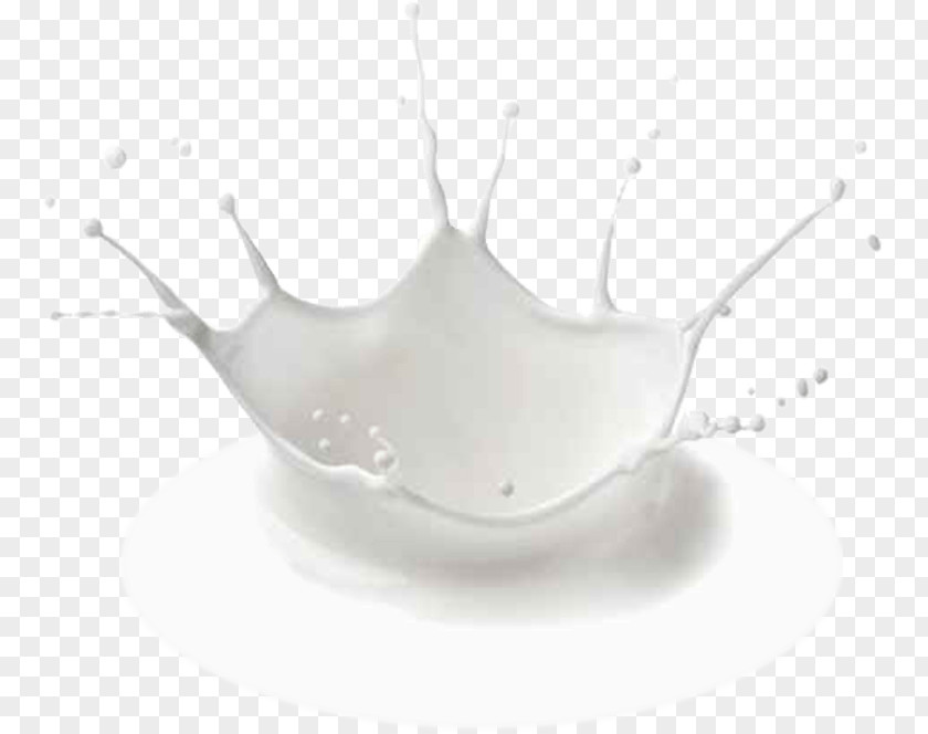 Milk Splash Product Design Tableware Cup PNG
