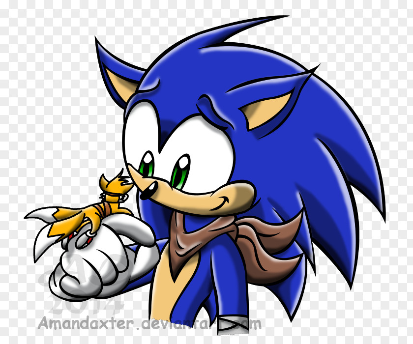 Sonic The Hedgehog Tails Chaos Amy Rose Ariciul PNG