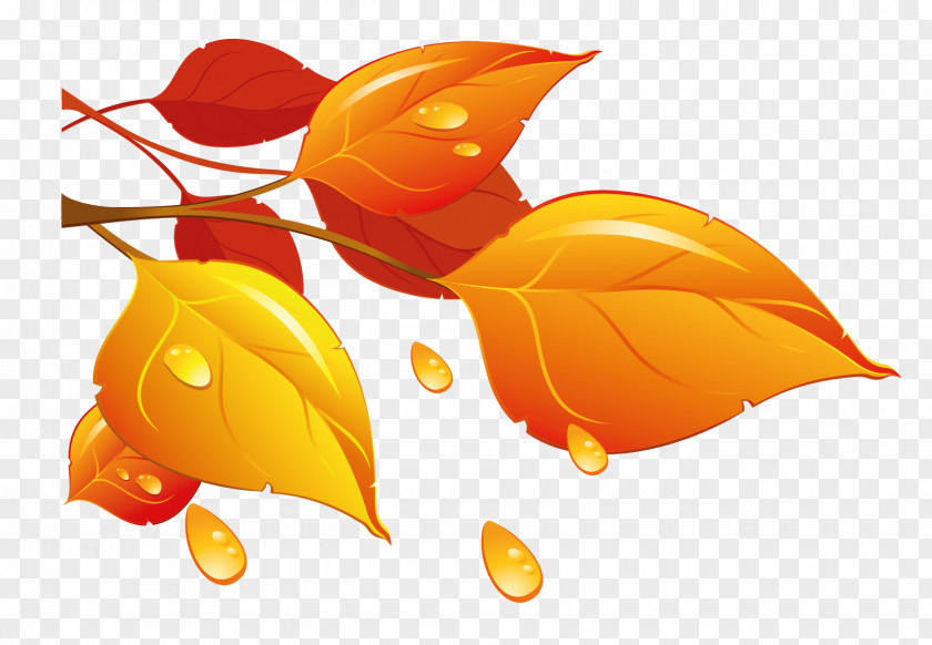 Transparent Autumn Leaves Clipart Leaf Color Clip Art PNG