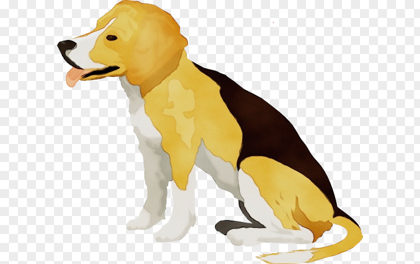 Beagle Tail Dog Animal Figure Yellow Breed Sporting Group PNG
