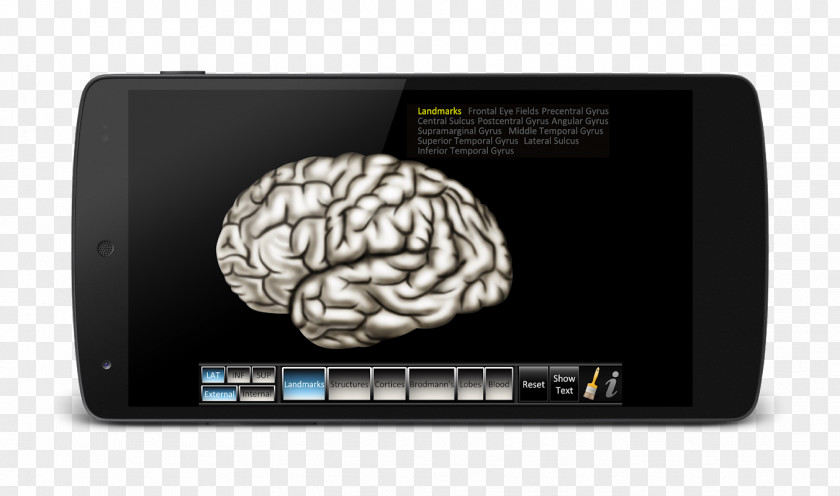 Brain Computer Software Sound Compton Publishing PNG