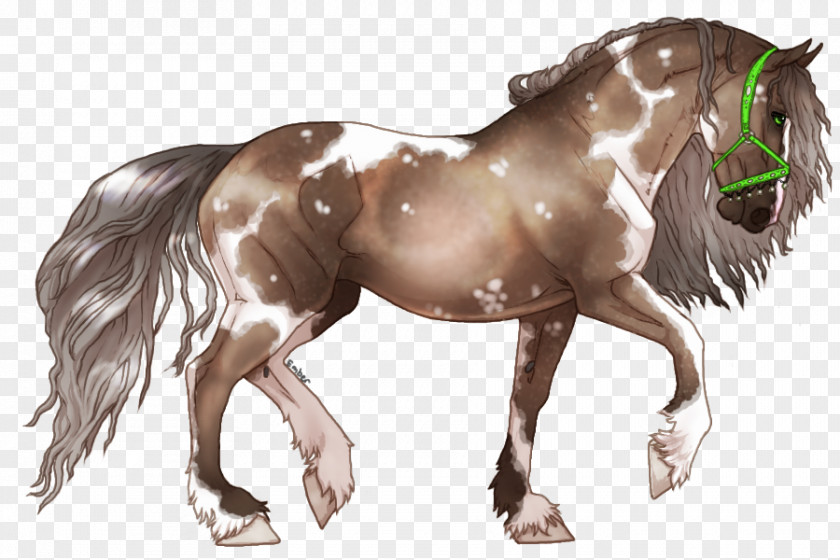 Mustang Friesian Horse Mane Stallion Pony PNG