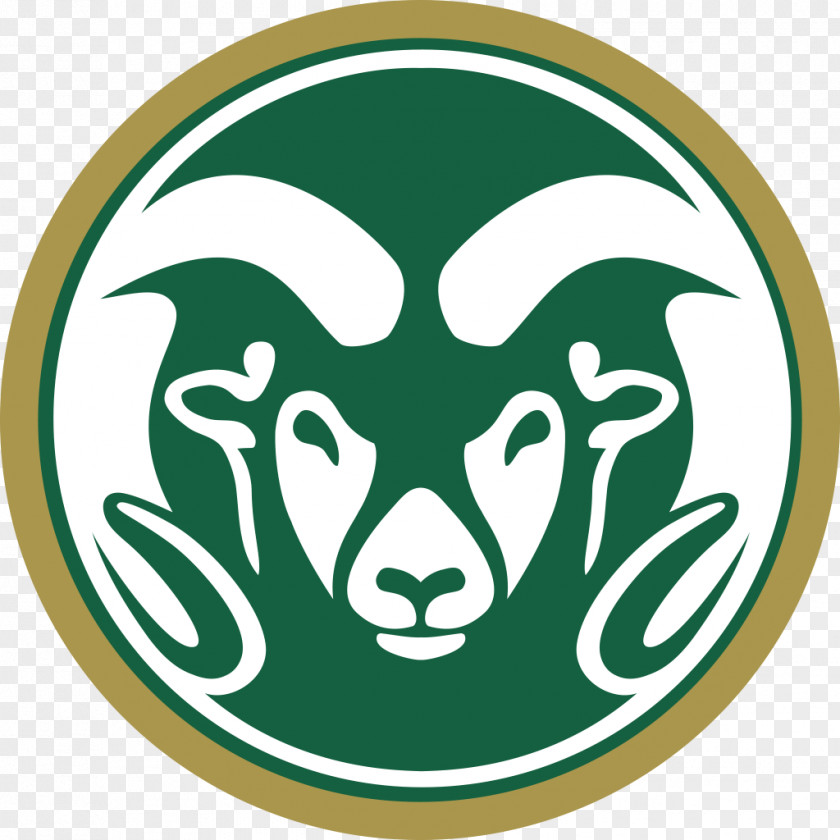 Student Colorado State University Rams Football California University, Fullerton Northridge PNG
