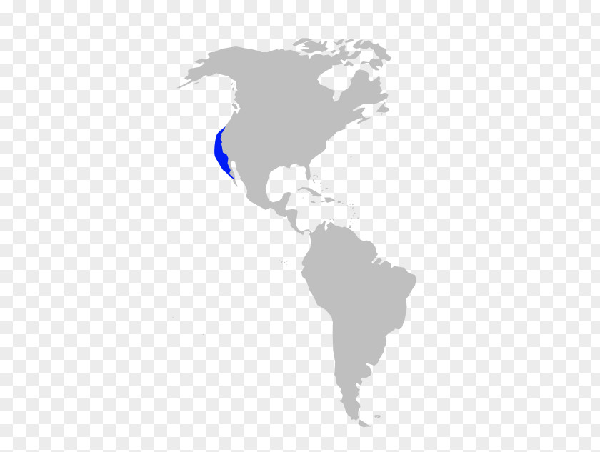 United States South America Mexico Country Canada PNG