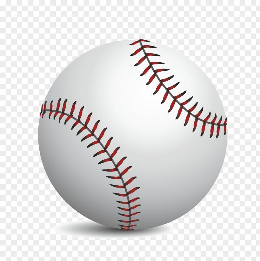 Vector Realistic Baseball MLB Softball Sport PNG