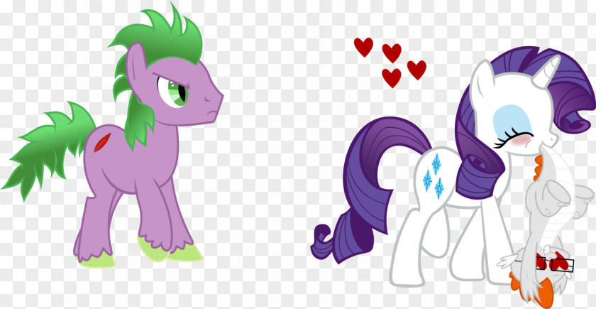 Wedding Cloak Spike Rarity Derpy Hooves Pony Rainbow Dash PNG