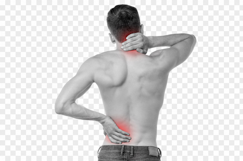 Back Pain Low Sacroiliac Joint Dysfunction Human PNG