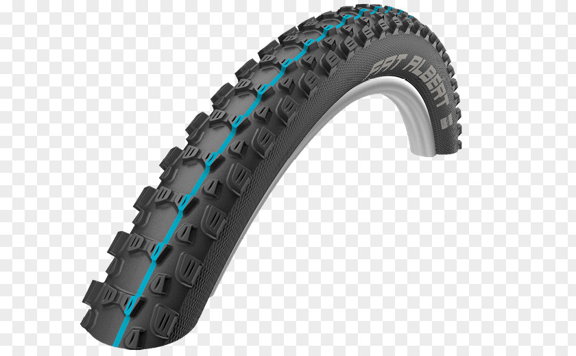 Fat Tire Schwalbe Nobby Nic Evolution Line Bicycle Tires 29er PNG