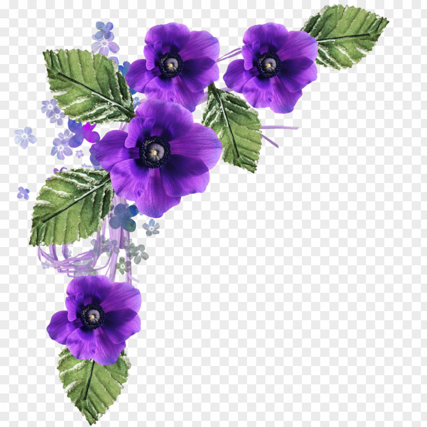 Flowers Flower Purple Clip Art PNG