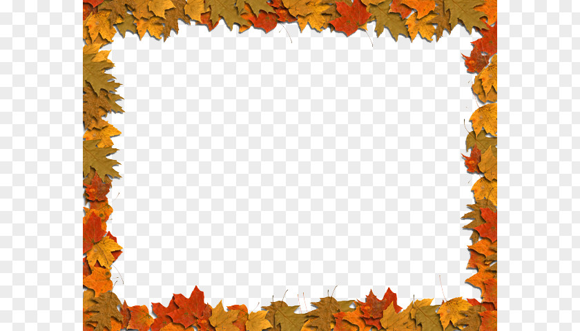 Maple Autumn Leaves Frame Material Leaf Color Clip Art PNG