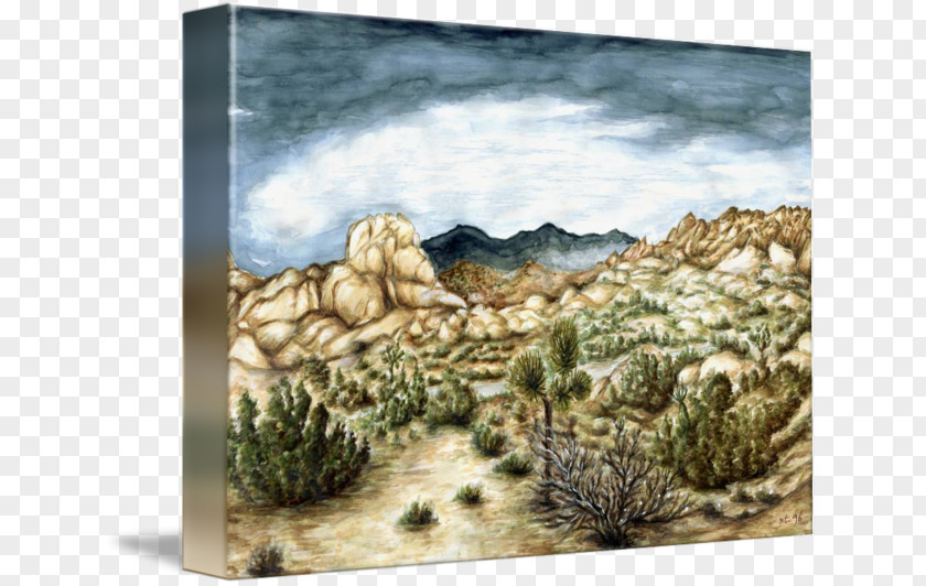 Painting Joshua Tree Picture Frames Canvas PNG