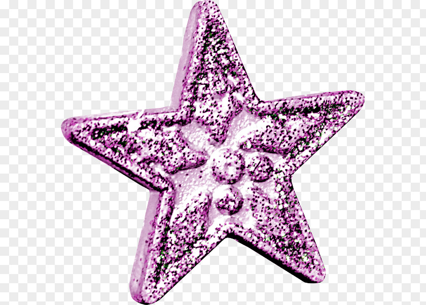 Starfish Pink M PNG