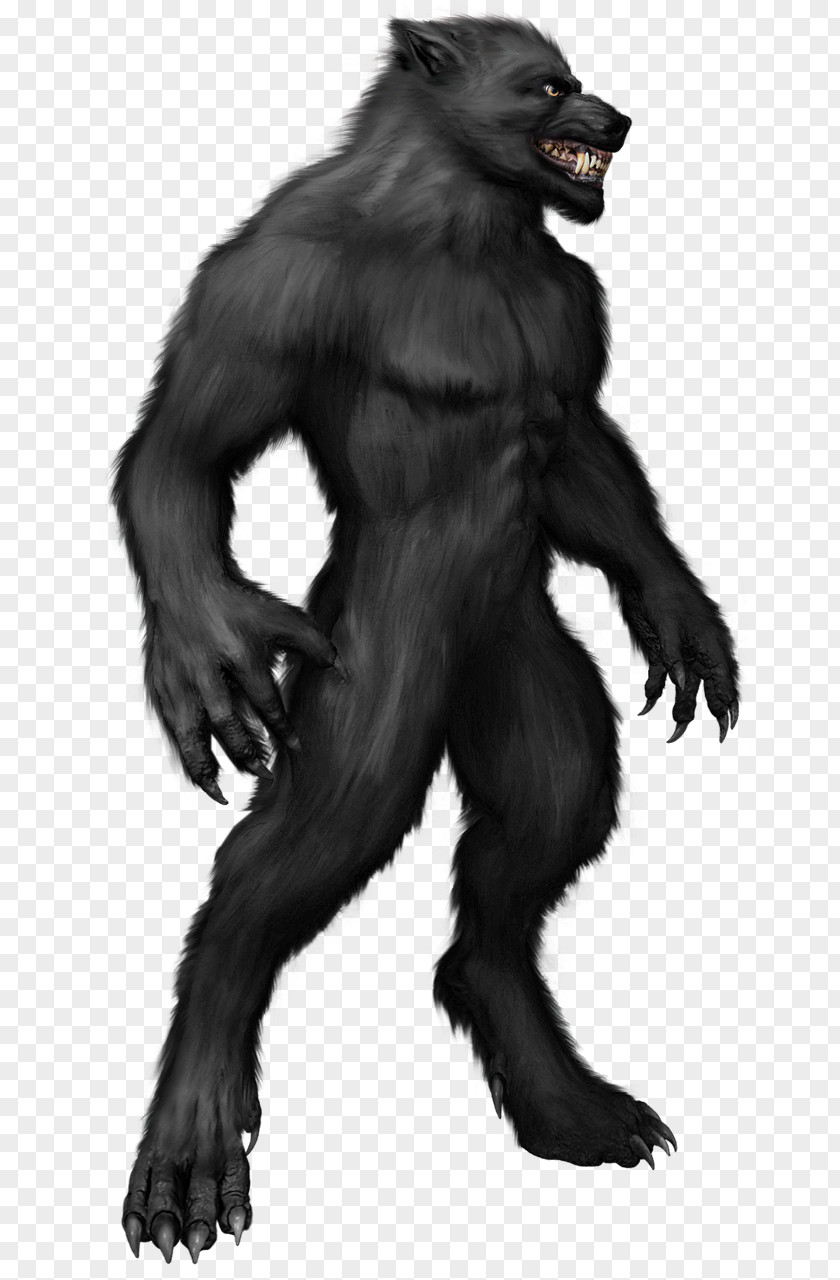 Werewolf PNG clipart PNG