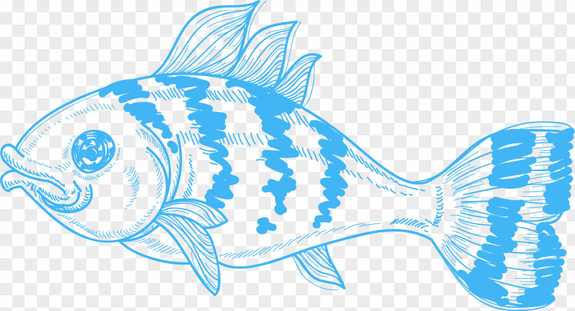 Fish Shark Marine Biology Clip Art PNG